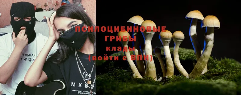 Псилоцибиновые грибы Magic Shrooms  кракен ТОР  Петушки 